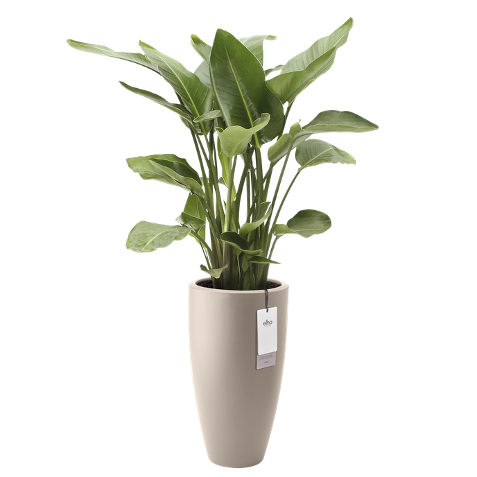 june round high 30cm greige